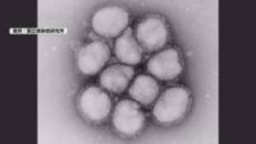インフルエンザ患者数5週ぶりに減少も　3週連続で警報基準上回る【長野】