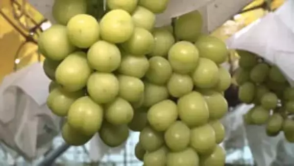 須坂市・ふるさと納税返礼品の産地偽装　市が委託業者に2億5000万円余の損害賠償などを求め提訴【長野】