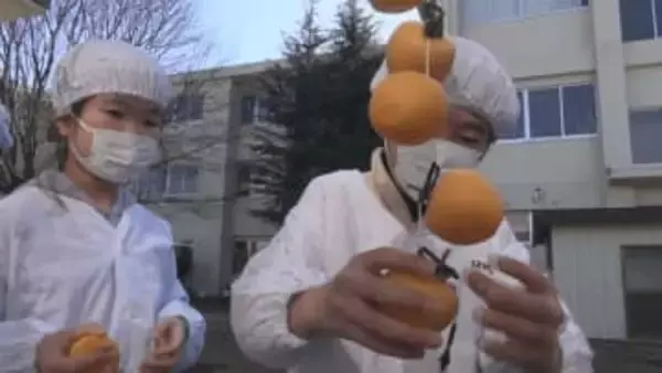 特産品の「市田柿」を次世代に　地元の児童が市田柿の「つるし作業」を体験【飯田市】