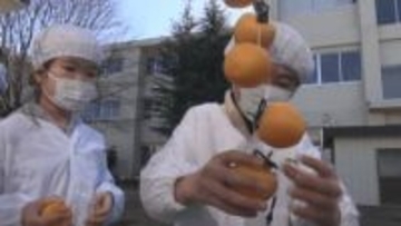 特産品の「市田柿」を次世代に　地元の児童が市田柿の「つるし作業」を体験【飯田市】