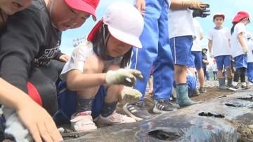 一粒一粒丁寧に…小学2年生が大豆の栽培に挑戦　子どもたちの「やりたい！」の声で実現　大豆の活用方法まで学ぶ【長野・佐久穂町】