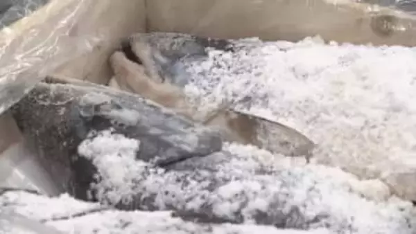 【特集】価格高騰…どうなる年末商戦②温暖化が正月の食卓にも影響　海の幸が品薄状態【長野】