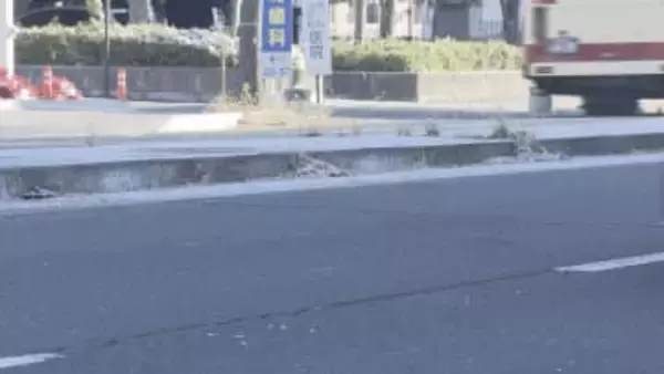 歩行者はねられる事故相次ぐ　長野市の国道で男性死亡…警察が身元の確認を進める【長野】