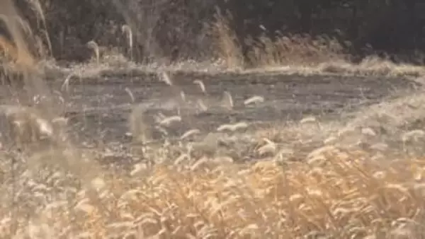 「親子らしいイノシシ2頭を見た」　小諸市の住宅地でイノシシ2頭の目撃情報　3日前には別の住宅地でも　同一個体の可能性あり警察が注意呼び掛け【長野】