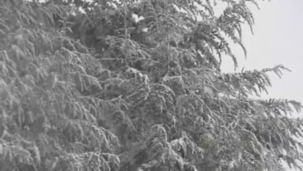 県北部に大雪警報　午後3時時点の積雪は小谷62センチ　野沢温泉45センチ　信濃町42センチ　上信越道一部で通行止め【長野】