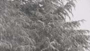 県北部に大雪警報　午後3時時点の積雪は小谷62センチ　野沢温泉45センチ　信濃町42センチ　上信越道一部で通行止め【長野】