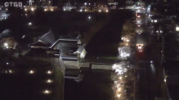 国宝松本城桜並木光の回廊ライトアップ始まる　今週末からソメイヨシノ見頃に…【長野・松本市】