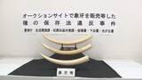 「国に登録せずにアフリカゾウの象牙を販売　遺品回収業者代表の男など3人逮捕【長野】」の画像1