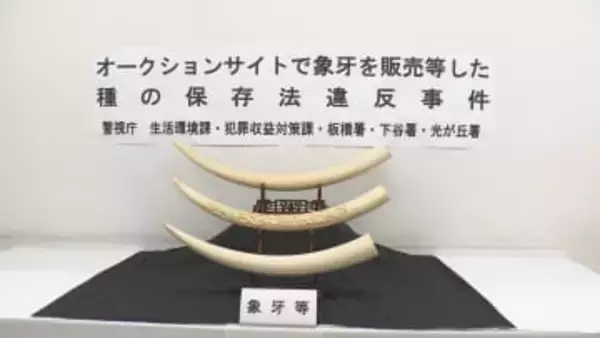 国に登録せずにアフリカゾウの象牙を販売　遺品回収業者代表の男など3人逮捕【長野】