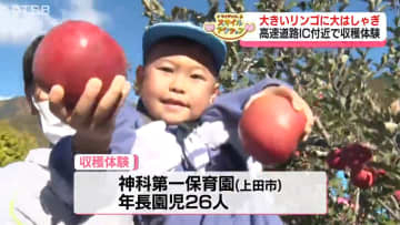 大きいリンゴに大はしゃぎ！園児がリンゴの収穫体験【長野】