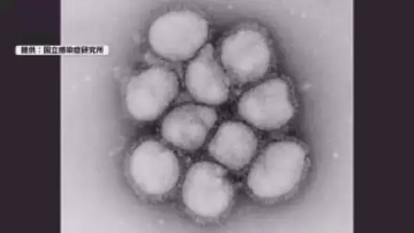 警戒！インフルエンザ猛威　患者数 警報基準上回る「流行は１か月くらい早い」医療現場は対応に追われる【長野】…