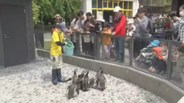 【5連休最終日】小諸市動物園に多くの家族連れ　ちょっとずる賢いペンギンに子どもたちくぎ付け　先月リニューアルオープン【長野】