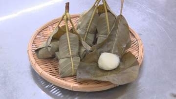 「木曽・三岳を思い出して食べてもらいたい」月遅れの端午の節句祝う  木曽地域で「朴葉巻き作り」最盛期【長野・木曽町】