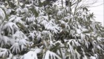 長野県内　標高の高い所で雪　落雷・激しい突風・ひょうなどに注意　３日夕方にかけて大気の状態が非常に不安定