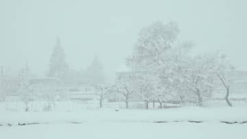 北部山沿いや中野飯山地域などで25日にかけて大雪予想　強い冬型の気圧配置の影響　大雪や路面の凍結による交通障害に警戒【長野】