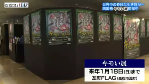 四国初開催の「キモい展」／高松市の商業施設・瓦町ＦＬＡＧで１月１８日まで【香川】