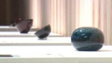 若手工芸作家を発掘／林原美術館が開館６０周年記念し公募展「掌」／３月２９日まで【岡山】