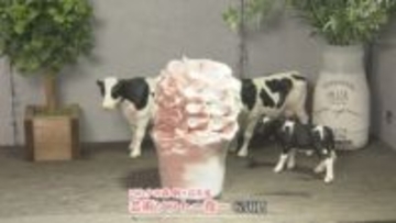 北海道のグルメずらり／天満屋岡山店で「春の北海道物産と観光展」／３月２３日まで【岡山】