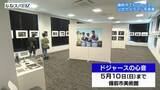 「山本由伸投手、大谷翔平選手らの勇姿見て！／備前市美術館で写真展「ドジャースの心音」／５月１０日まで【岡山】」の画像1