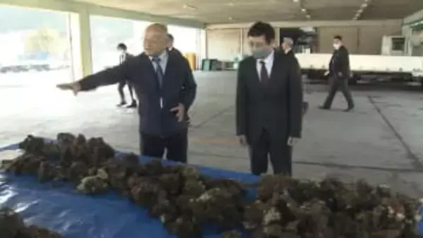 養殖カキの大量死問題／水産庁長官が岡山県内の漁協を視察【岡山】