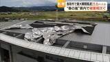 「「スタジアムの屋根がめくれビルの看板落下」“春の嵐”鳥取県で被害…倒木も相次ぐ」の画像1