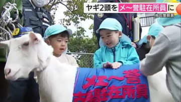 「とびだしちゃダメェ～」ヤギの“メ～誉”駐在所員誕生！地域の新戦力として事故・特殊詐欺防止に一役