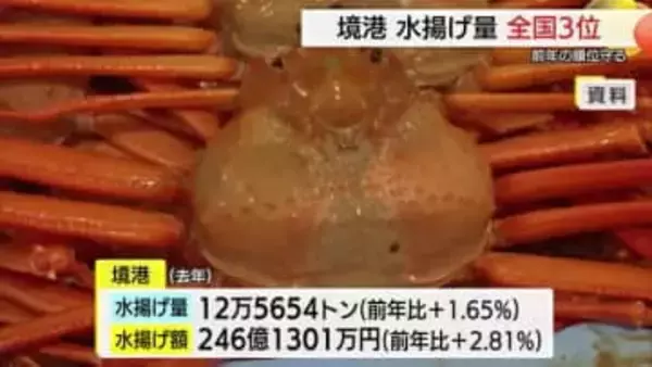 ブリやベニズワイガニ漁好調…日本海側の漁港でトップ守る　2025年鳥取・境港の水揚げ