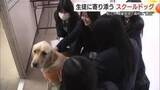 「全国初「スクールドッグ」導入に効果あり！犬との触れ合いで生徒に変化　県内外から注目（島根）」の画像1
