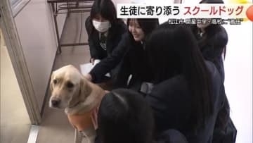 全国初「スクールドッグ」導入に効果あり！犬との触れ合いで生徒に変化　県内外から注目（島根）