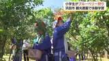 「摘みたて「ブルーベリー」に笑顔　児童が収穫体験　自然環境についても学ぶ（島根・浜田市）」の画像1