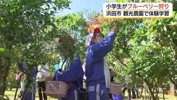 摘みたて「ブルーベリー」に笑顔　児童が収穫体験　自然環境についても学ぶ（島根・浜田市）