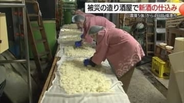 被災した酒造会社で新酒仕込み　地震で瓶2000本割れる被害も「予定通り」生産再開（鳥取・境港市）