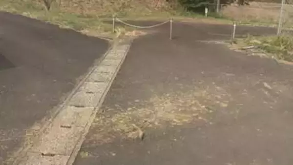 危険運転致死罪で71歳の男を起訴　飲酒運転で駐車中の車に衝突…近くにいた女性を死亡させる（島根）