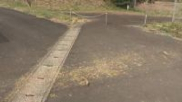 危険運転致死罪で71歳の男を起訴　飲酒運転で駐車中の車に衝突…近くにいた女性を死亡させる（島根）