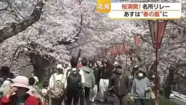 見事な「桜のトンネル」も…今まさに満開！山陰の桜名所をリレーで紹介