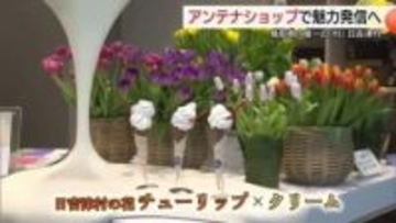 村の特産品一堂に…アンテナショップ「ひえづマルシェ」開設　ソフトクリームなどで魅力発信（鳥取）