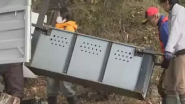 男性を襲ったツキノワグマか…親子とみられる3頭を捕獲いずれも殺処分　襲撃現場で警戒続く（島根）