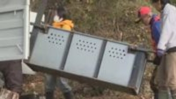 男性を襲ったツキノワグマか…親子とみられる3頭を捕獲いずれも殺処分　襲撃現場で警戒続く（島根）