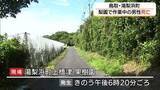 「梨園で運搬作業車と木に挟まれ87歳男性死亡　出荷シーズン迎え1人で作業（鳥取・湯梨浜町）」の画像1