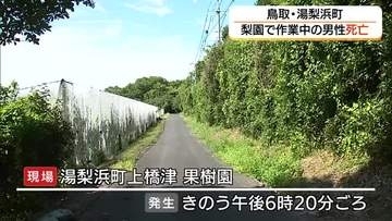 梨園で運搬作業車と木に挟まれ87歳男性死亡　出荷シーズン迎え1人で作業（鳥取・湯梨浜町）