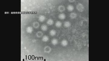 わずかな量でも感染ノロウイルスによる食中毒「アルコール消毒は効果薄」対策の難しさ【2025ピックアップ】
