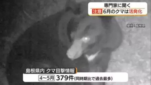 クマの目撃最多ペース…「繁殖による活動活発な時期に」専門家が警鐘　複数での行動など対策呼びかけ