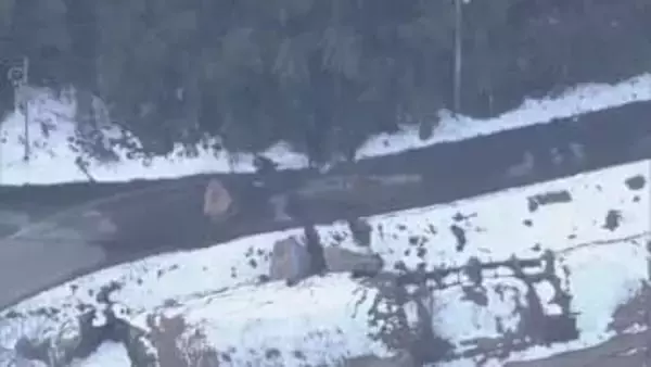 島根・鳥取最大震度5強の地震　伯耆町の県道に落石…道路をふさぐ　松江市東出雲町で亀裂や沈下