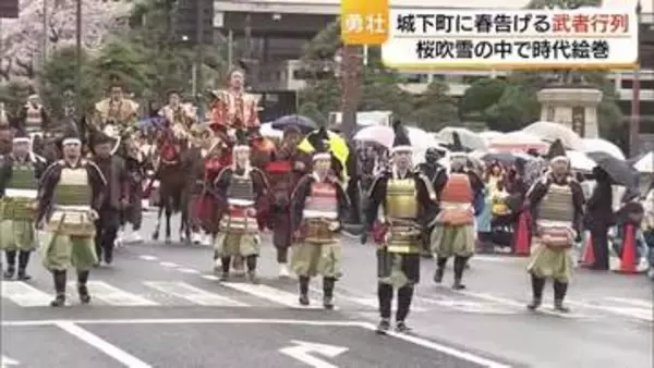 “春の嵐”でコース短縮…桜吹雪舞う春の城下町で勇壮時代絵巻「松江武者行列」　江戸時代にタイムスリップ