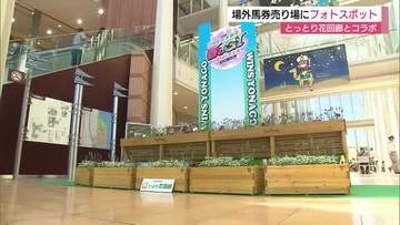 「ウインズ米子」と「とっとり花回廊」がコラボ花で彩るフォトスポット　異業種交流で新たなファン層拡大を