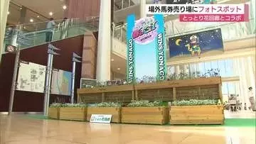 「ウインズ米子」と「とっとり花回廊」がコラボ花で彩るフォトスポット　異業種交流で新たなファン層拡大を