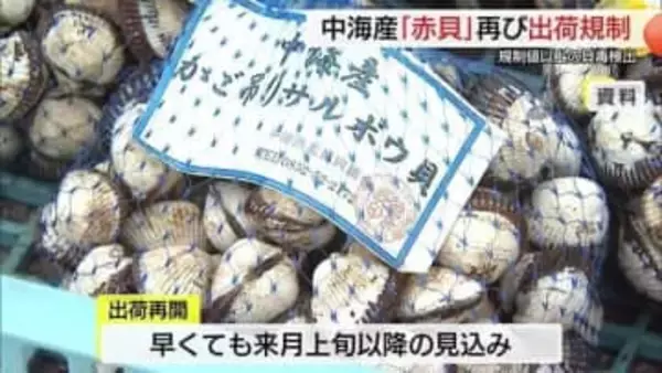 中海産“赤貝”サルボウガイに再度の出荷自粛要請　下痢性の貝毒が規制値超…出荷済み分に回収要請（島根）