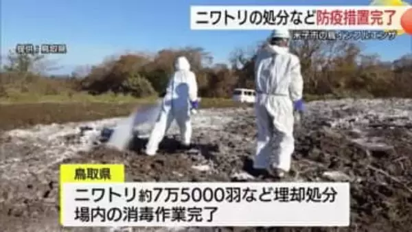 続報【鳥インフルエンザ】ニワトリの処分、場内の消毒など防疫措置完了（鳥取・米子市）