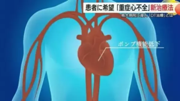 ドナー不足で心臓移植困難「重症心不全」患者に光…DT治療“命つなぐ補助人工心臓”期待と課題（鳥取）