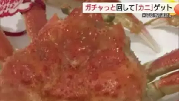 大当たりは「松葉がに」！ガチャっと回して運試し…米子空港に“ユニーク”トイカプセル登場（鳥取）